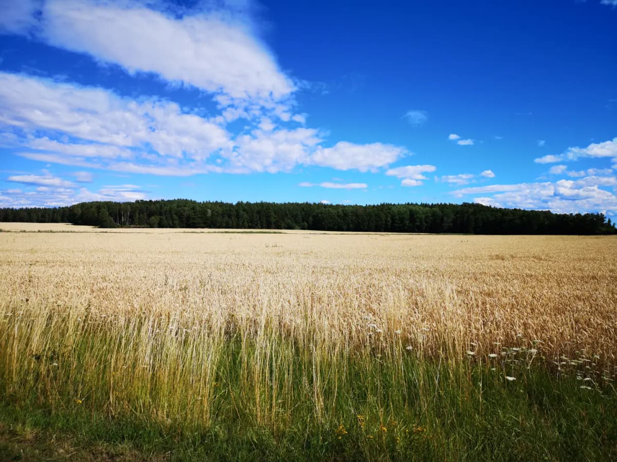 Ventilation i Enköping — EnköpingVentilation.se